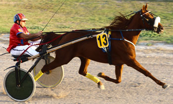 Phenix d'Or