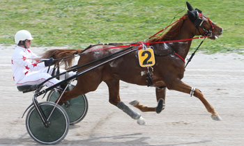 Nellyto du Lys
