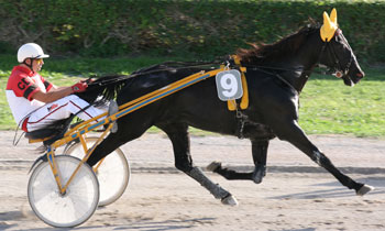 Nick de Touchyvon