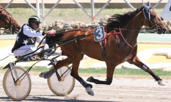 Ouraki du Drochon
