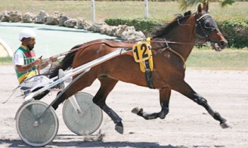 Passons d'Ortige