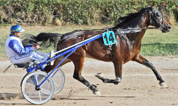 Orion de Chapeau