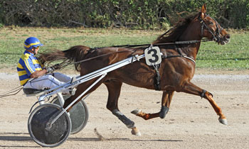 Phebus de la Cour