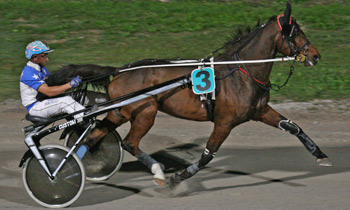 Baron Flax