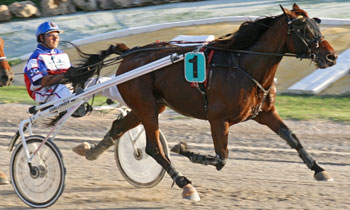 Onyx Lucernais