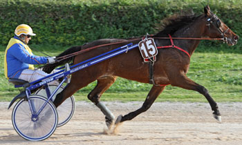 Splendido Star