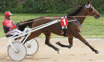 Prince de Blequin