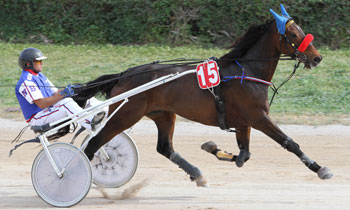 Quipo du Tronquay