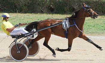 Vanmaker Limburgia