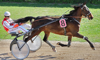 Quitus Beauregard