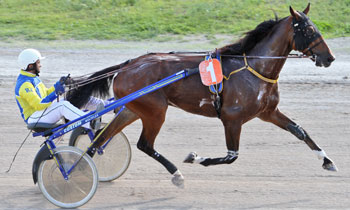 Quasar de Subligny