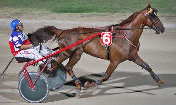 Quitus Rapide