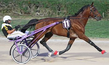 Phenix de Milo