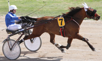 Bob Wielinga