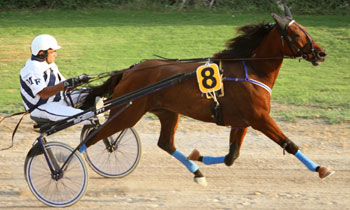 Manilleson d'Atout