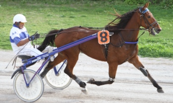 Regent de Tillard
