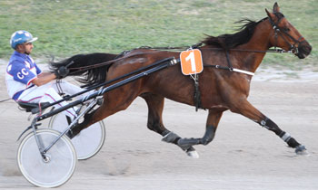 Solo d'Occagnes