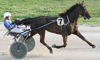 Quooper de Connee