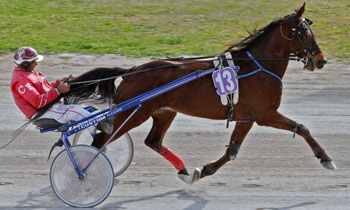 Noble Raun