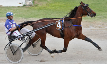 Quid Pierre