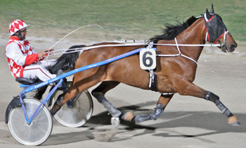 Quouky de Morgane