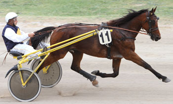 Quouky Jet