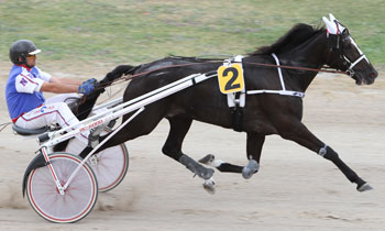 Quiton d'Ouxy