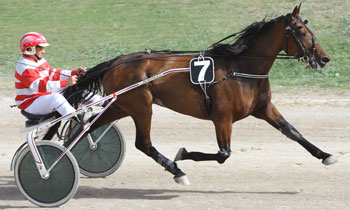 Brio