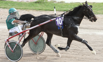 Saphir Censerie
