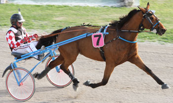 Sigurd Speed