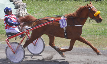 Quimper du Thyral