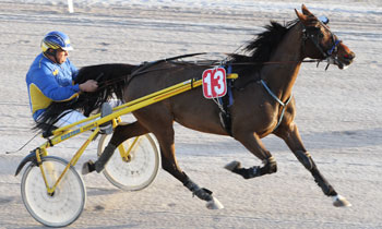 Ramses de Melleray