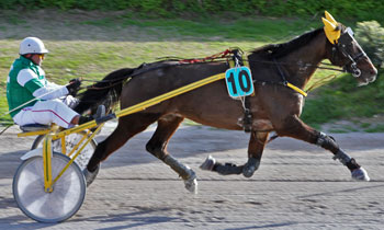 Rollon Charmeur