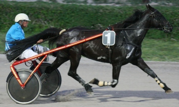 Idee de Besneville