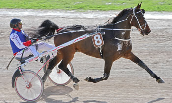Quad Censerie