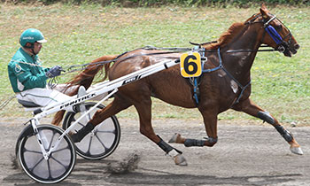 Saxo la Chesnaie
