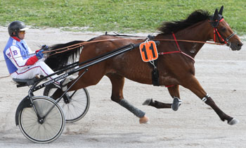 Rady d'Occagnes