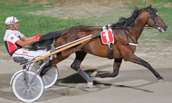 Smarty Jet