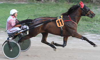 Roi de Corveil