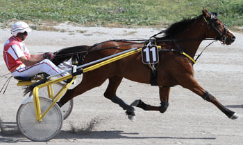 Rosco de la Potel