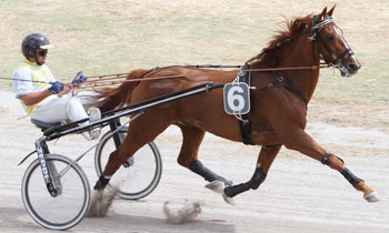 Saphir Barbes