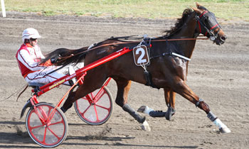 Suro du Cornillet