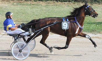 Tanika du Boulay