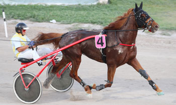 Ramses des Rouches