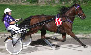 Simb Jasper