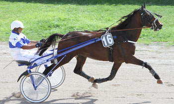 Sir de Sarthe