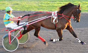 Solide du Jayle
