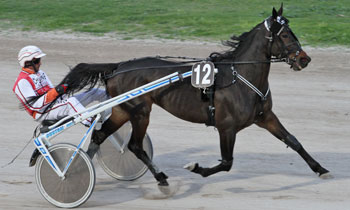 Tanja Dilli