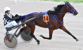 Symfoni Cup