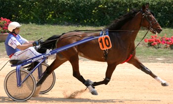 Krac des Nouettes
